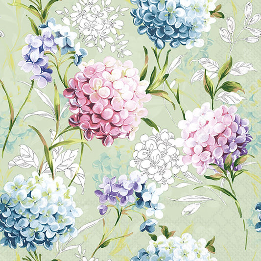 Colorful hydrangea flowers on a light green background