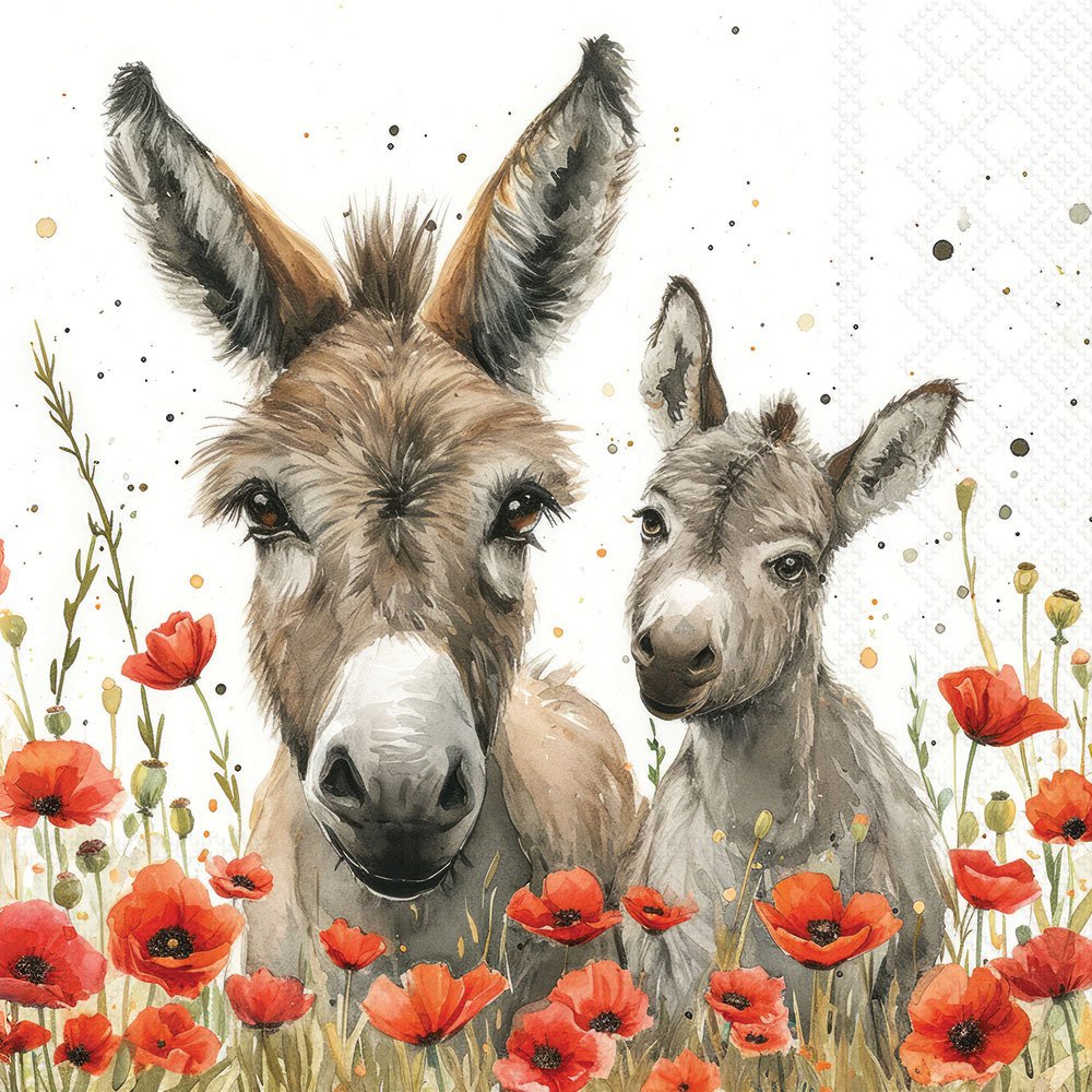 Two donkeys surrounded by red poppies on a white background