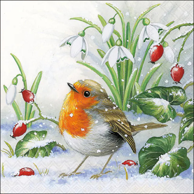 Illustration of a robin in the snow with snowdrops and red berries