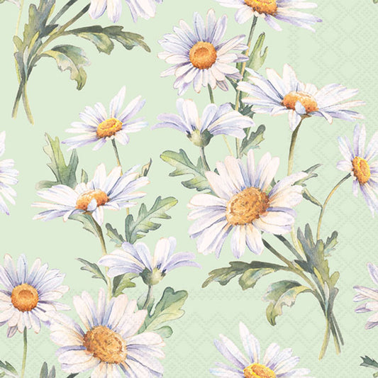 Beautiful Daisies Green - Napkin