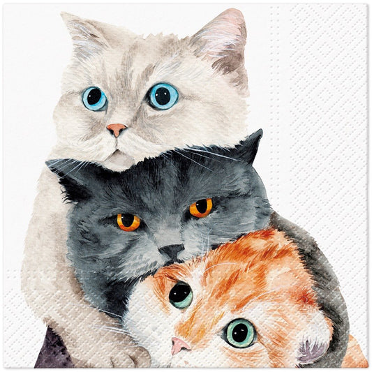 Better Together - Napkin