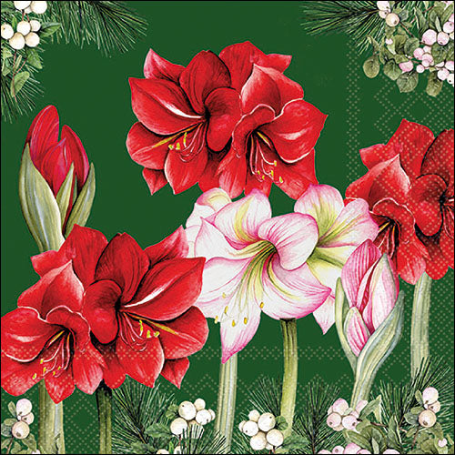 Blooming Amaryllis GREEN - Napkin