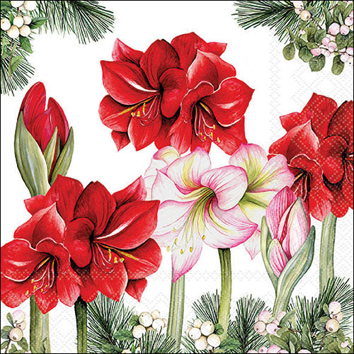 Blooming Amaryllis WHITE - Napkin