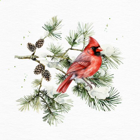 Cardinal Bird on Fir Branch - Napkin