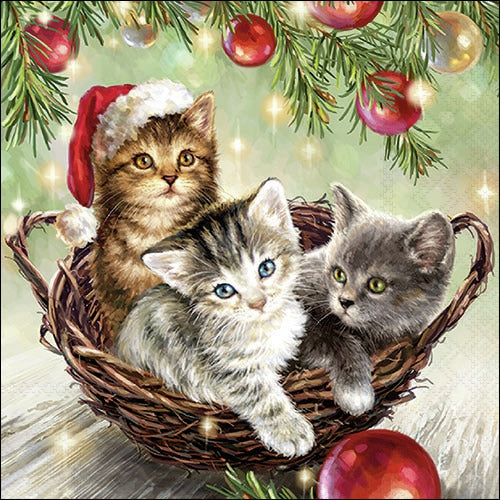 Cats in Basket - Napkin