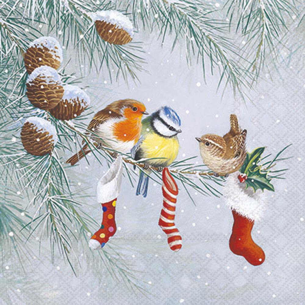 Three birds perched on a branch with Christmas stockings and pinecones in a snowy scene.