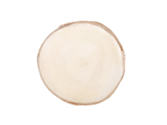 Natural Birch Slice - 13~15 cm (5.12~5.9")