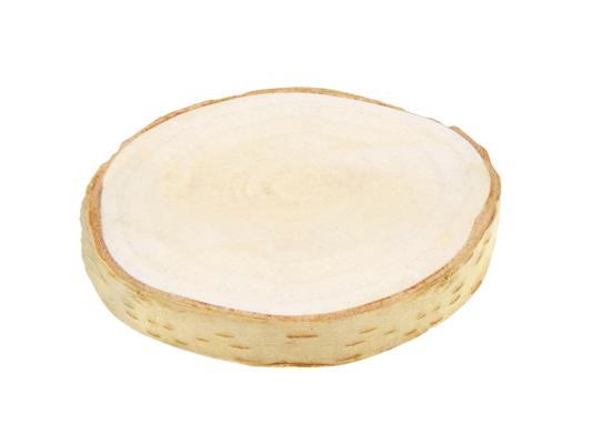 Natural Birch Slice - 9 cm (3.54")