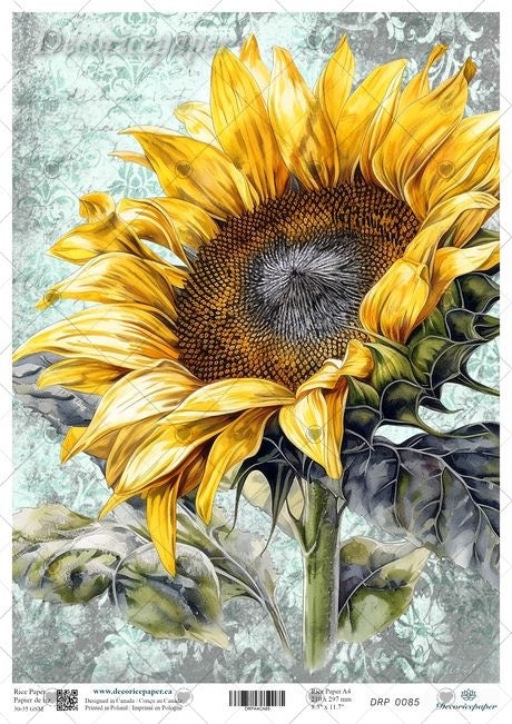 A large yellow sunflower with a dark brown center and green leaves on a pale green-gray patterned background. 