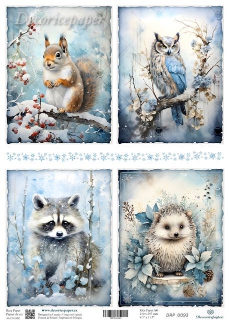 Set of four winter-themed illustrations featuring a squirrel, owl, raccoon, and hedgehog on decorative paper.