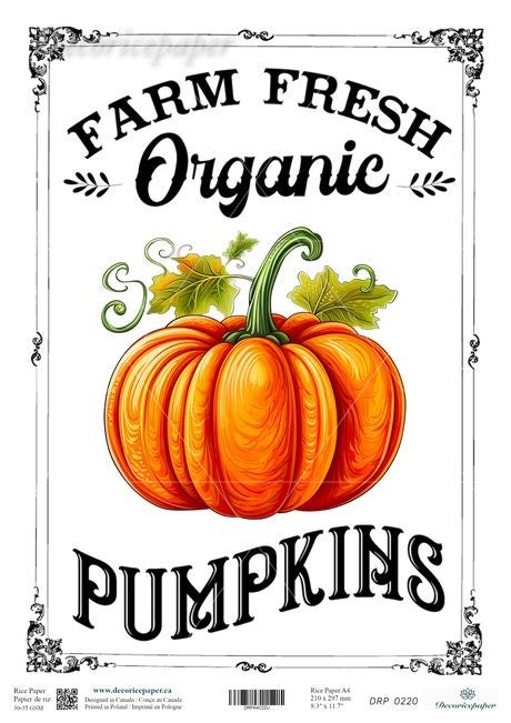 A decorative print featuring an illustrated orange pumpkin with green leaves and stem, surrounded by the words “FARM FRESH Organic PUMPKINS” in black lettering on a white background with ornate border details.