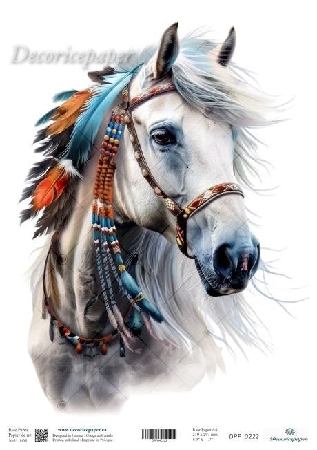 White horse with decorative headgear featuring feathers and beads on a white background