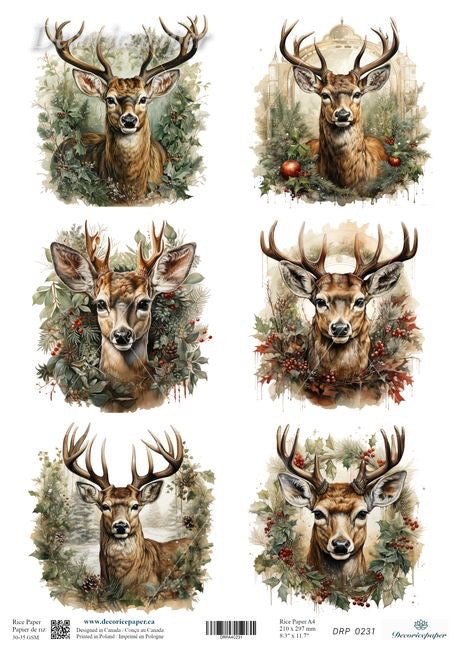 Set of six deer illustrations with decorative elements on a white background