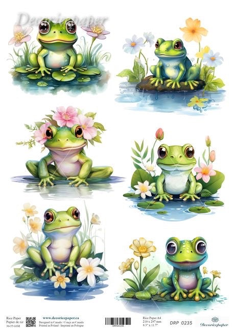 Set of six illustrations of a green frog with flowers in a pond.