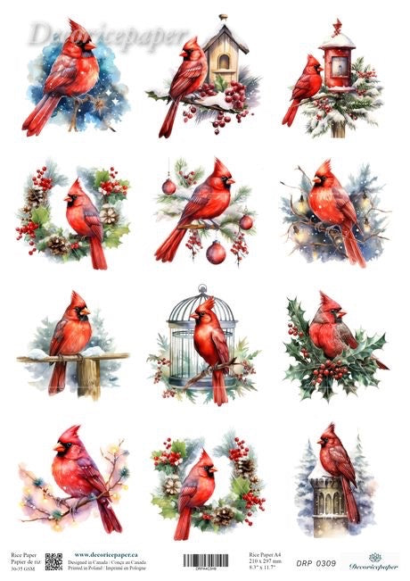 A sheet of decorative Christmas-themed designs featuring multiple watercolor illustrations of red cardinals perched with holly, berries, a birdhouse, a lantern, and a birdcage on a white background. 