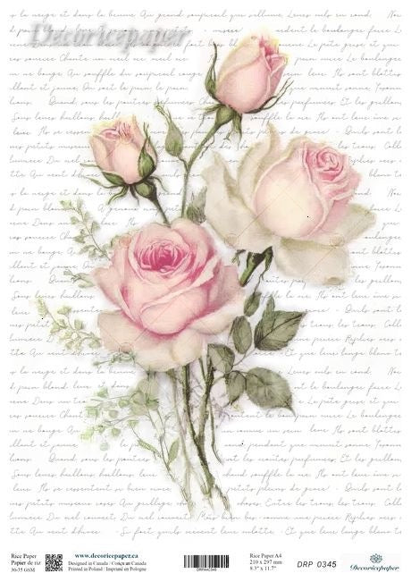 Vintage-style illustration of pink roses on a textured white background with text.
