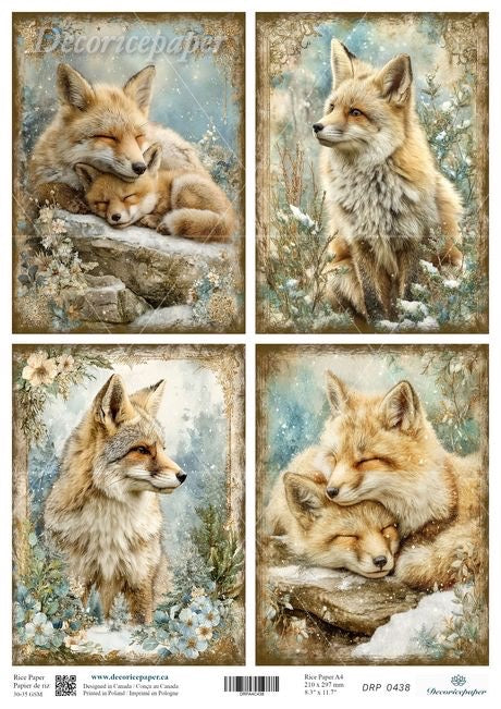 Set of four fox illustrations in a snowy forest