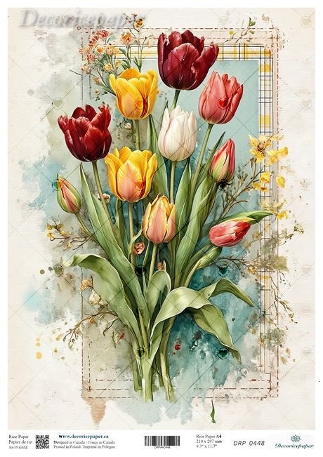 Vintage-style illustration of tulips with a decorative border
