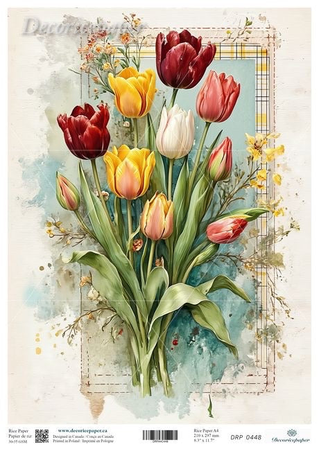 Vintage-style illustration of tulips with a decorative border