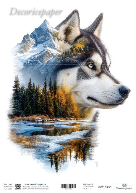 Husky dog's head with mountain and forest background
