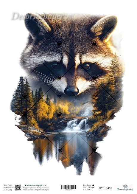 Raccoon with a forest and waterfall reflection on a white background