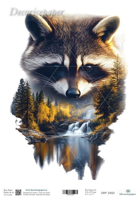Raccoon with a forest and waterfall reflection on a white background