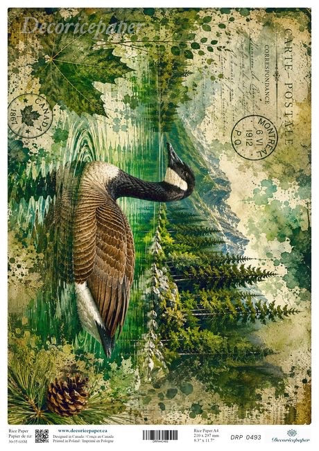 Sheet featuring a vintage-style illustration of a Canada goose in a forest with postmark elements and distressed textures.