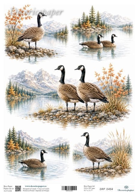 A sheet of decorative paper featuring five illustrated scenes of Canada geese in a mountain lake landscape, with trees, rocks, and autumn grasses. 