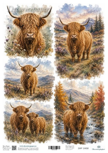 A sheet of decorative paper featuring five watercolour-style illustrations of Highland cows in scenic outdoor landscapes.