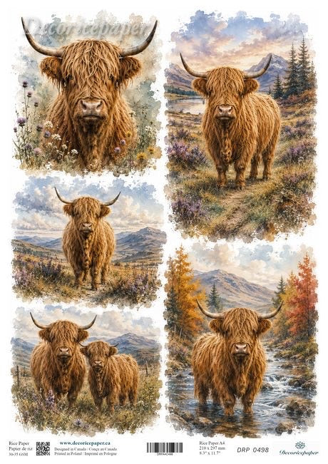 A sheet of decorative paper featuring five watercolour-style illustrations of Highland cows in scenic outdoor landscapes.