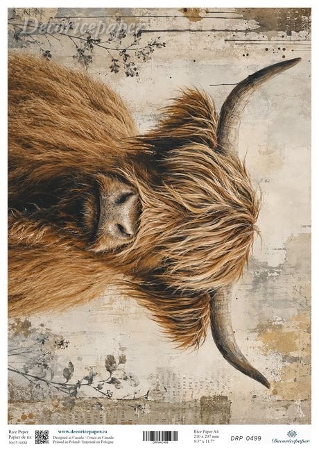 A square art printfeaturing a close-up illustration of a shaggy Highland cow with long curved horns on a distressed beige background with faint floral and woodgrain textures. 