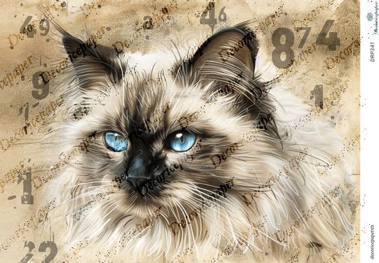 DRP341 - Finn - Rice Paper A4