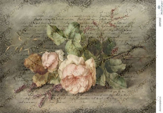 DRP355 - Timeless Peonies - Rice Paper A4