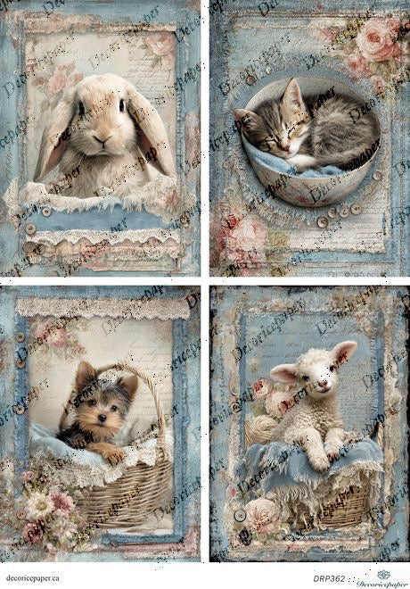 DRP362 - Baby Animals - Rice Paper A4