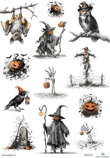 Collection of Halloween-themed illustrations including a witch, owl, bat, and pumpkins on a white background.