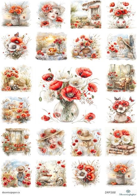 Collection of red poppy illustrations