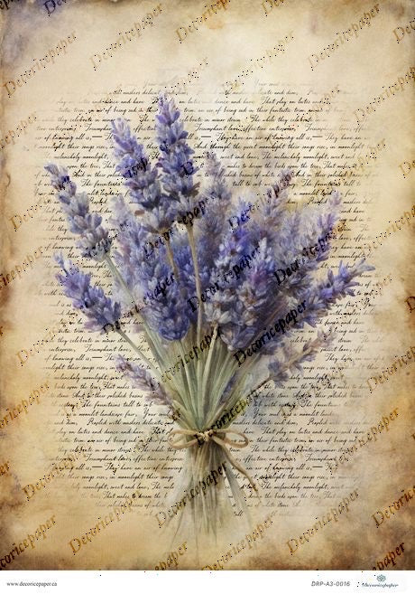 Bouquet of lavender on a textured paper background with text