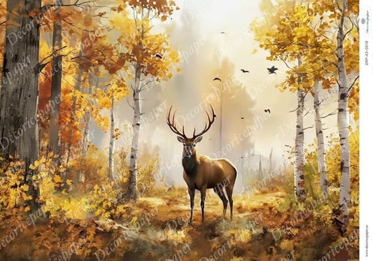 Deer in a forest with autumn foliage