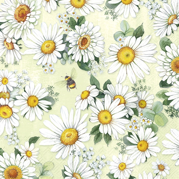 Pattern of white daisies with yellow centers on a light green background