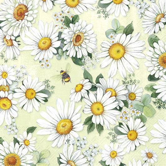 Pattern of white daisies with yellow centers on a light green background