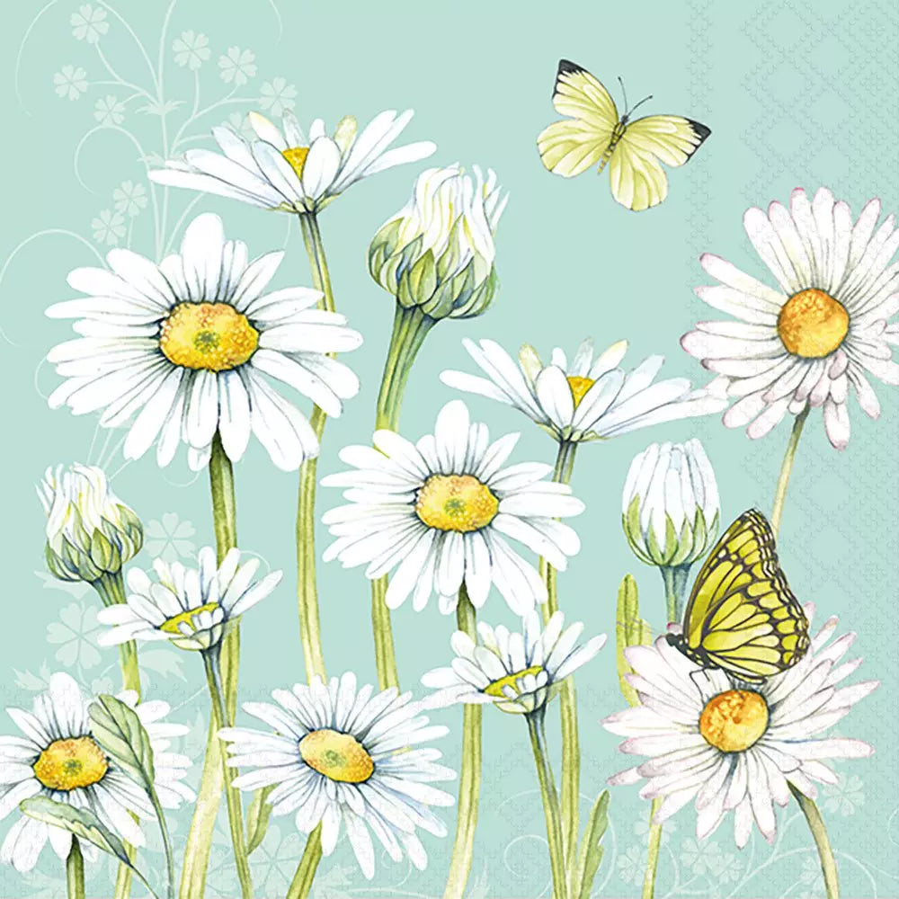 Illustration of daisies and butterflies on a light green background
