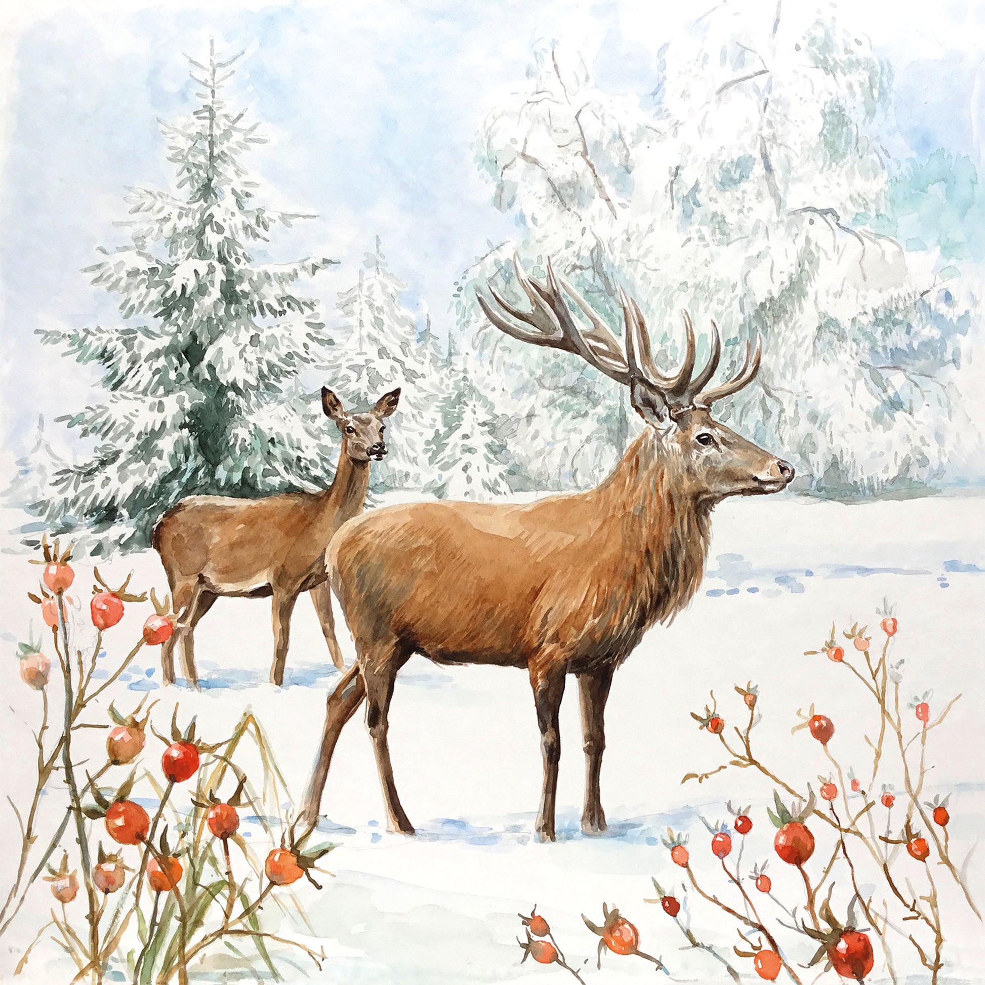 Two deer standing in a snowy landscape with trees and berries.