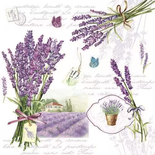 Illustration of lavender flowers with a scenic background on a white background.