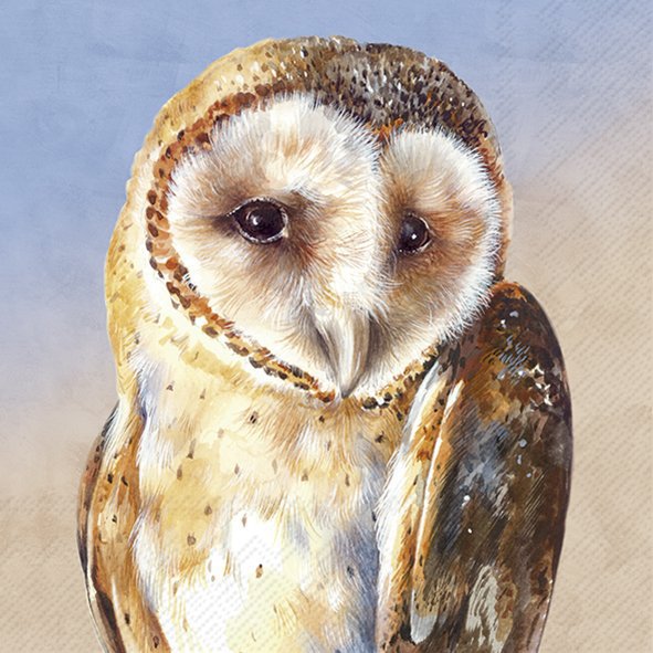 Close-up of a barn owl with a soft, textured background