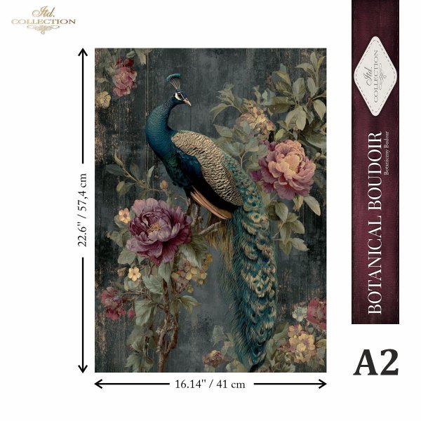 A decorative wall art print showing a peacock among large botanical flowers on a dark textured background, with printed dimensions and a vertical product label reading 'Botanical Boudoir' and 'A2'.