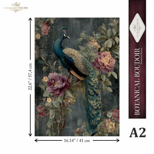 A decorative wall art print showing a peacock among large botanical flowers on a dark textured background, with printed dimensions and a vertical product label reading 'Botanical Boudoir' and 'A2'.