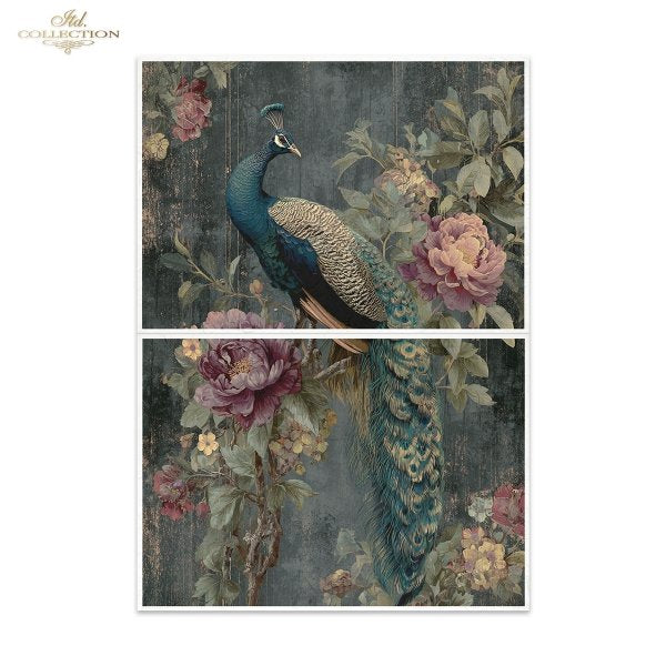 A two-panel canvas wall art set featuring a detailed vintage-style illustration of a peacock surrounded by large pink and mauve flowers against a dark textured background. The panels are shown stacked vertically with a thin white border between them, set against a plain white background.