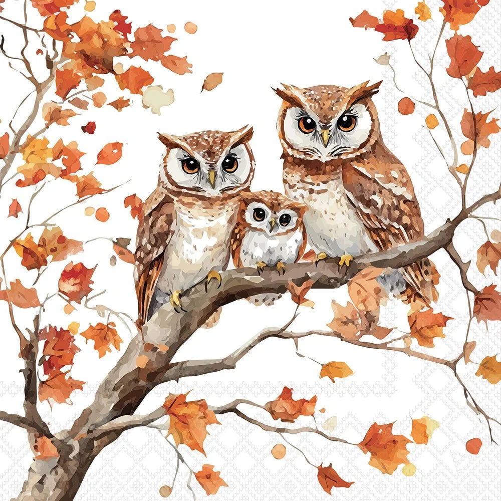 Watercolor-style illustration of three owls perched on a tree branch with orange and brown autumn leaves on a white background.