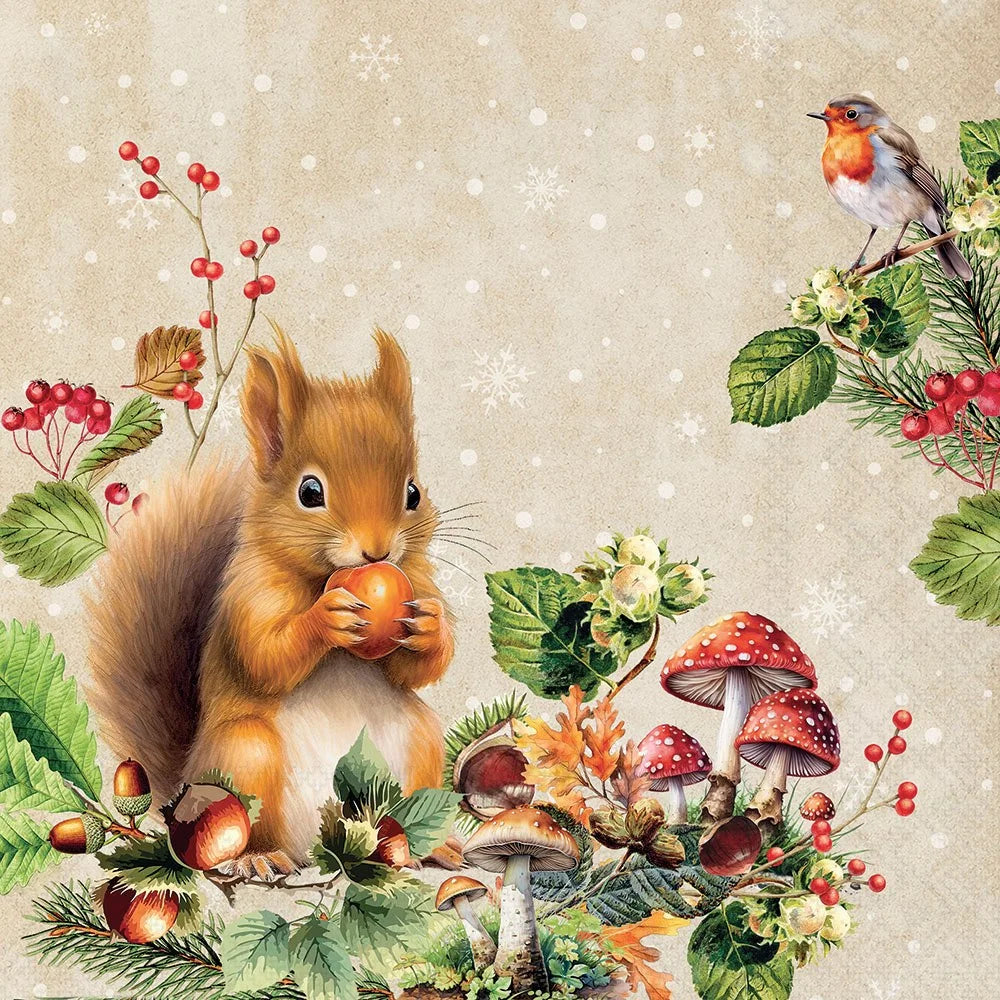 A whimsical autumn woodland illustration featuring a red squirrel holding an acorn, surrounded by red berries, green leaves, acorns, red-and-white mushrooms, and a robin perched on a branch against a light beige snowy background.