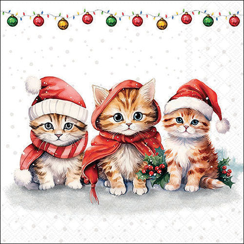 Funny Cute Kittens - Napkin